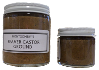 Beaver Castor Ground